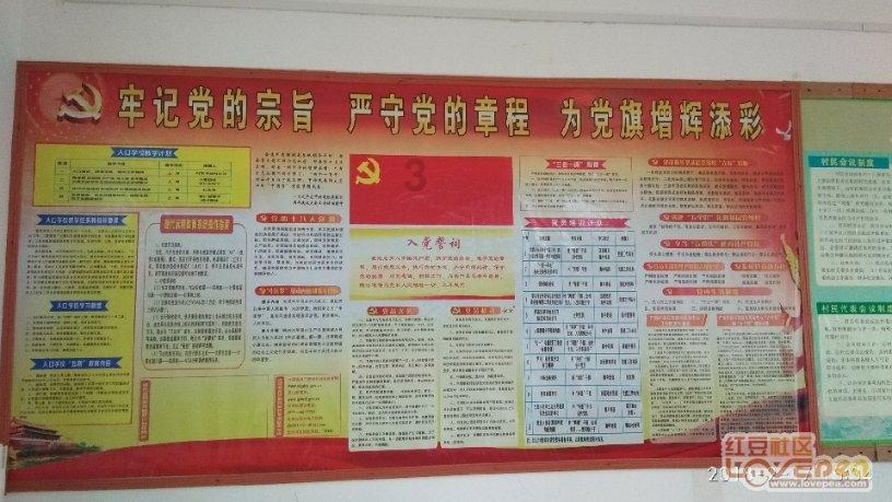 创新消费场景 贡献金融力量