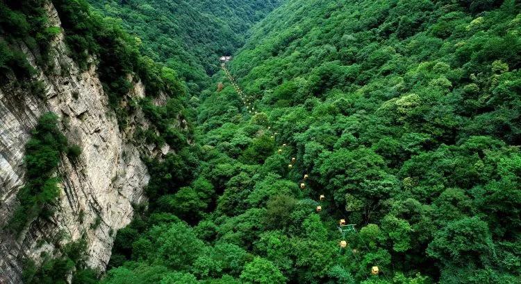 请问我国几大名茶叶各自的特点游戏画面
